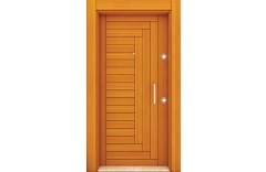 Çelik Kapı D-2005